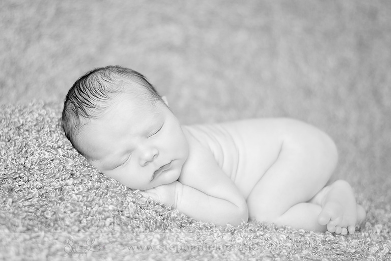 wexford pennsylvania newborn photography