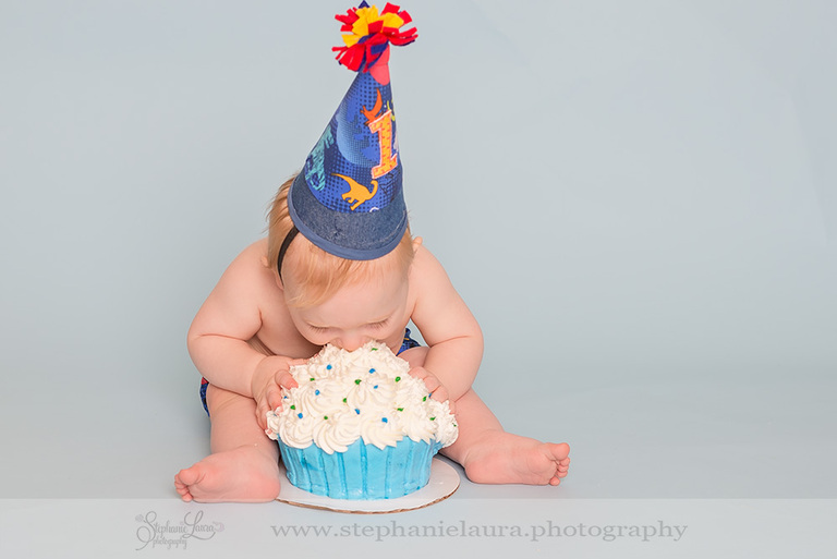 pittsburgh first birthday photographer