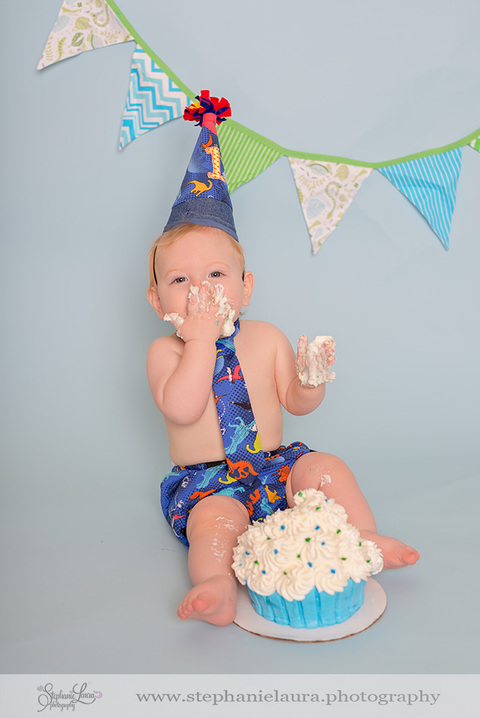 pittsburgh first birthday photographer