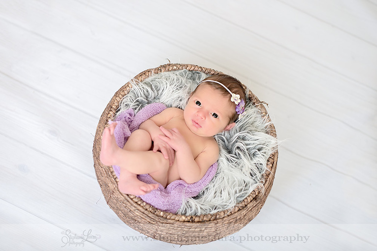 purple newborn pittsburgh photography