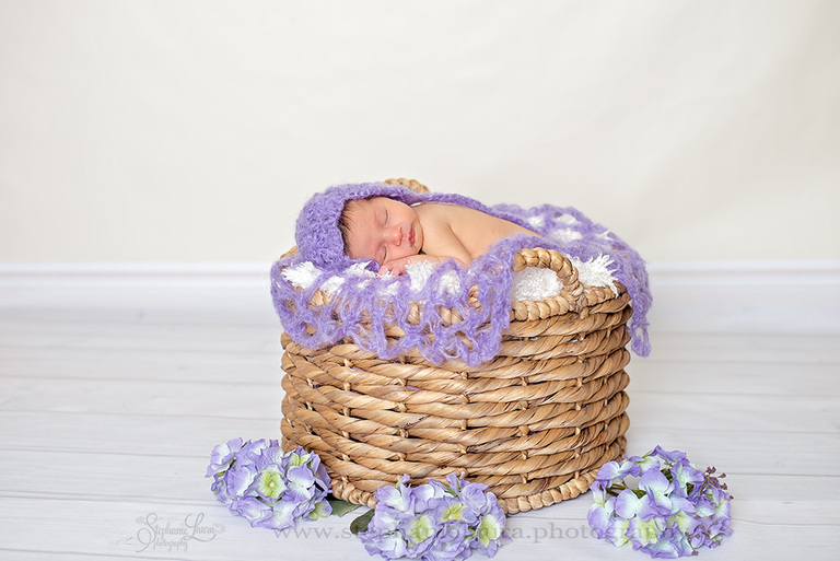 purple newborn pittsburgh photography