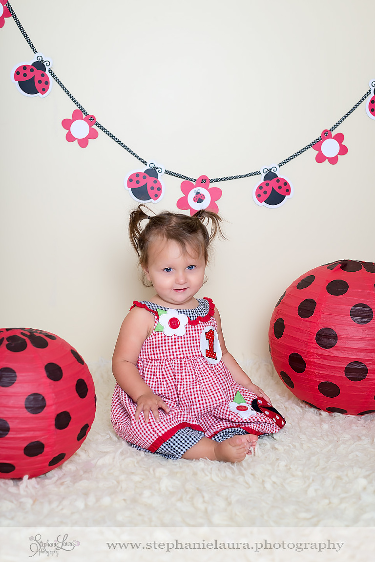 pittsburgh first birthday