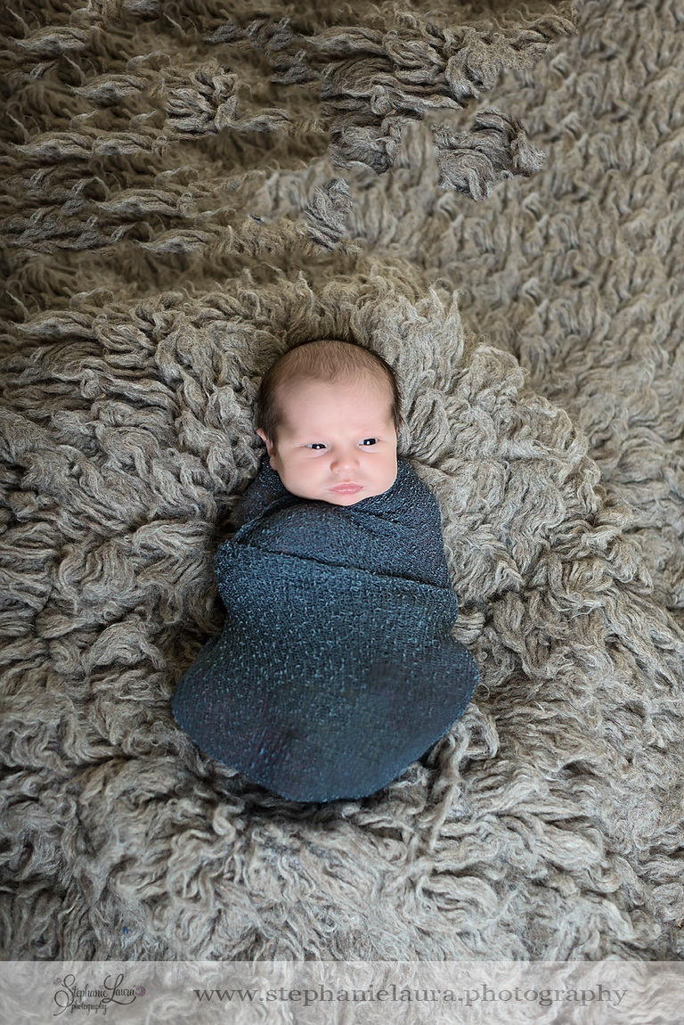 cranberry newborn photographer
