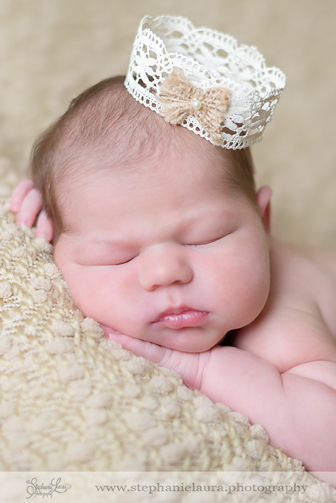 pittsburgh newborn photographer