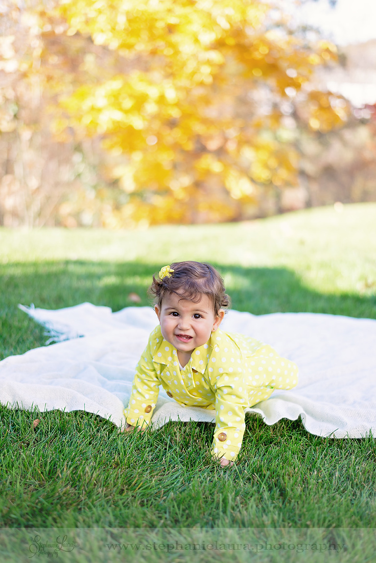 seven fields photography