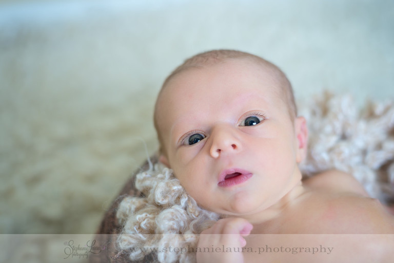 best newborn photographer pittsburgh