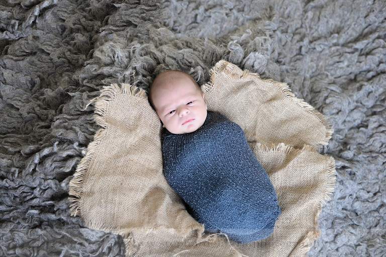 newborn photographer pittsburgh