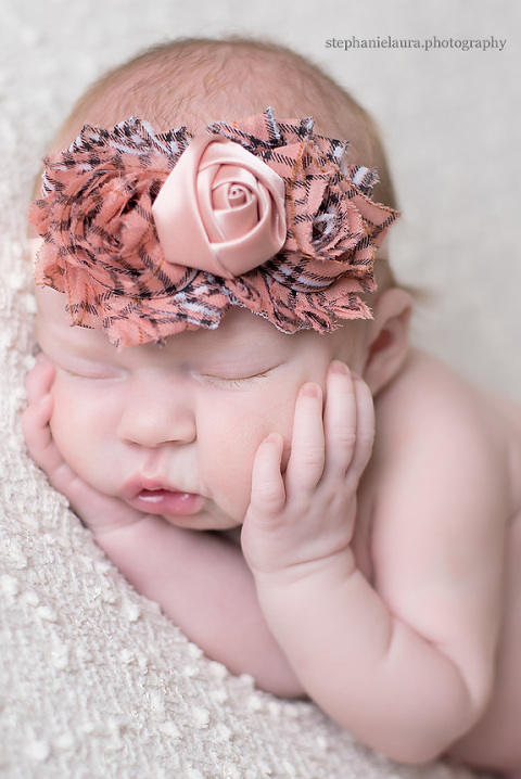 north pittsburgh newborn photography