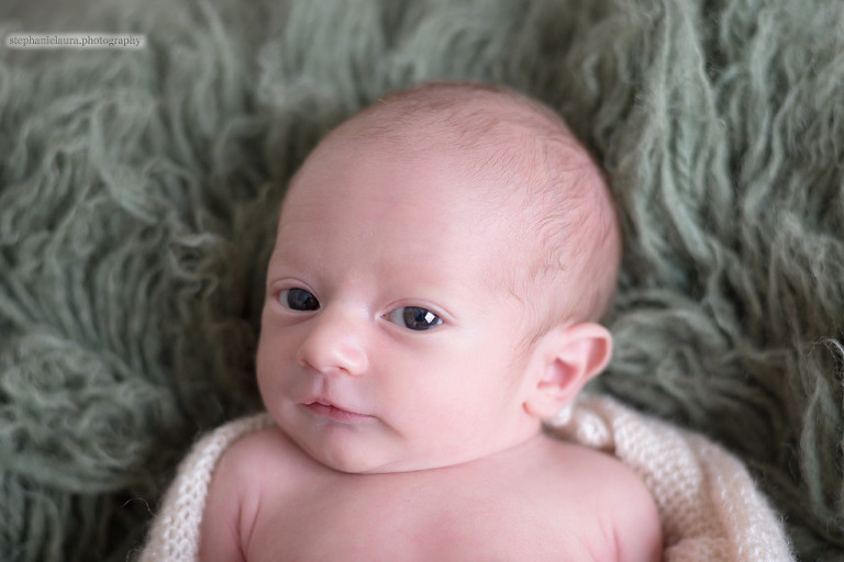 pittsburgh newborn photographer