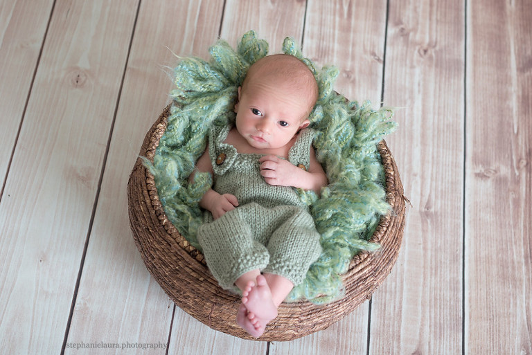 pittsburgh newborn photographer