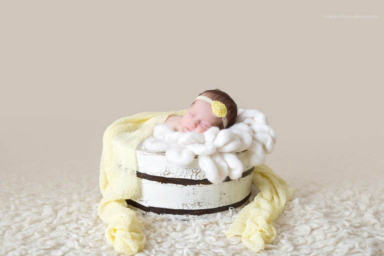 beaver county newborn photographer