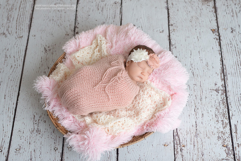 beaver county newborn photographer