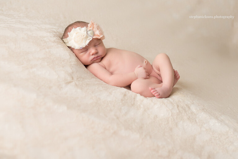 fox chapel newborn photographer