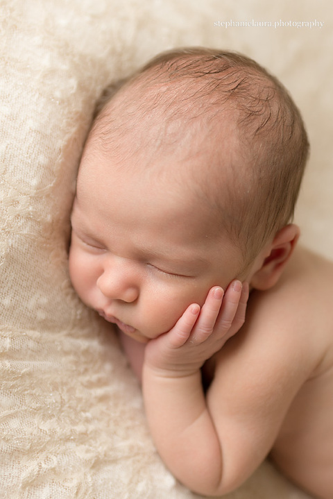 fox chapel newborn photographer
