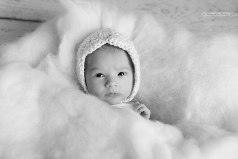 fox chapel newborn photographer