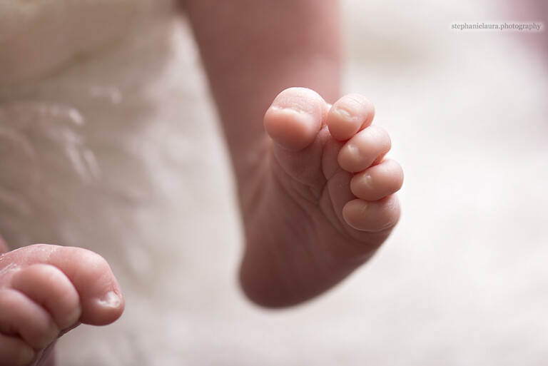 newborn photography pittsburgh