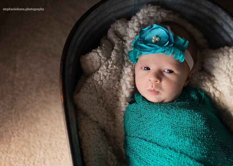cranberry township newborn photographer