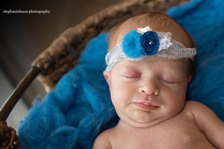 cranberry township newborn photographer