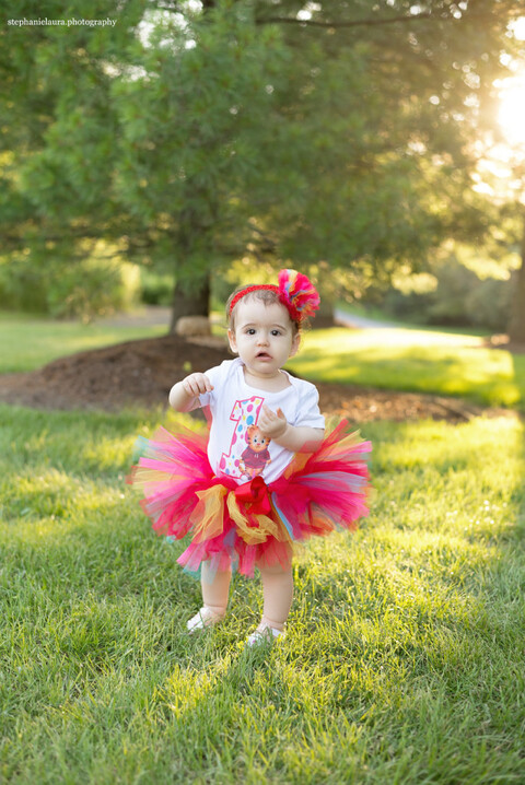 first birthday photographer pittsburgh