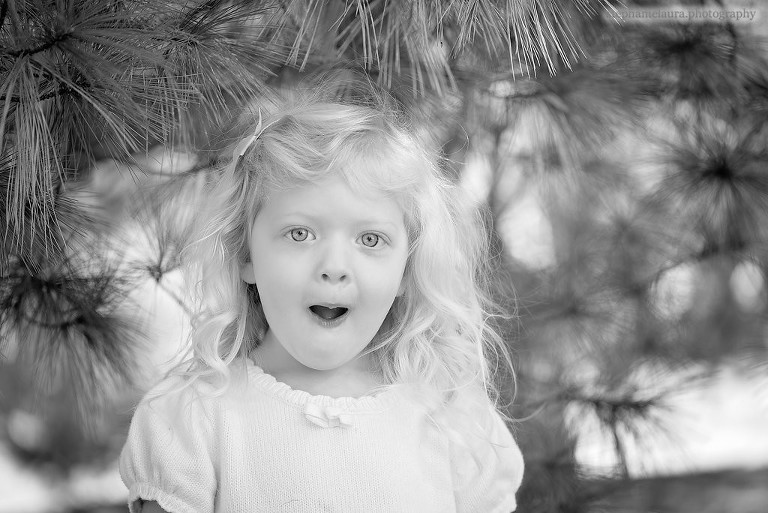 pittsburgh family photographer