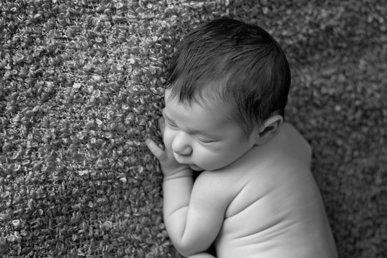 sewickley newborn photographer