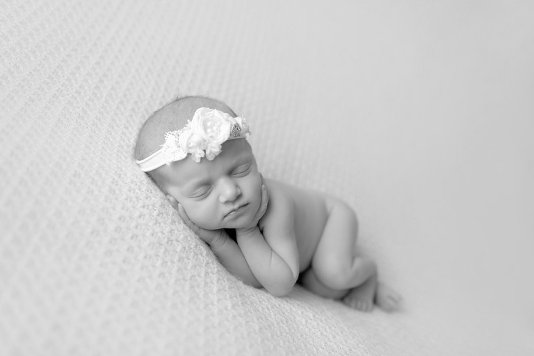 pine richland newborn photographer