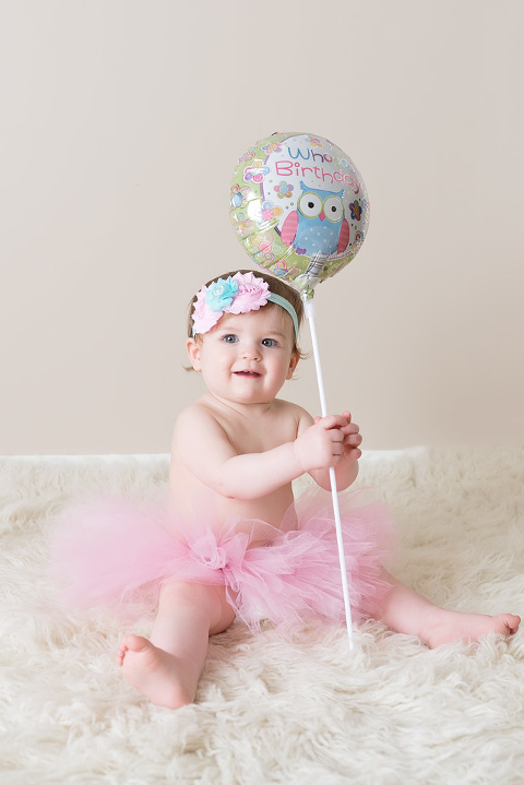 first birthday photographer pittsburgh