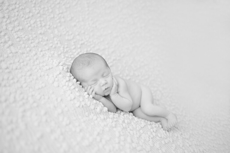 pittsburgh newborn photographer