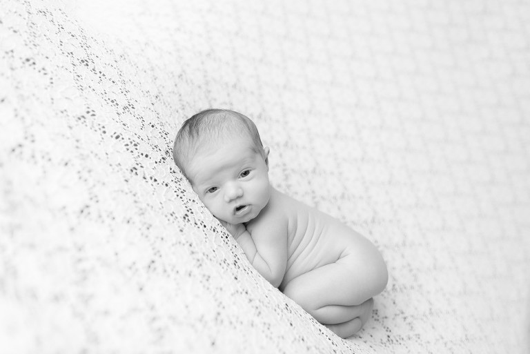 newborn photographer pittsburgh