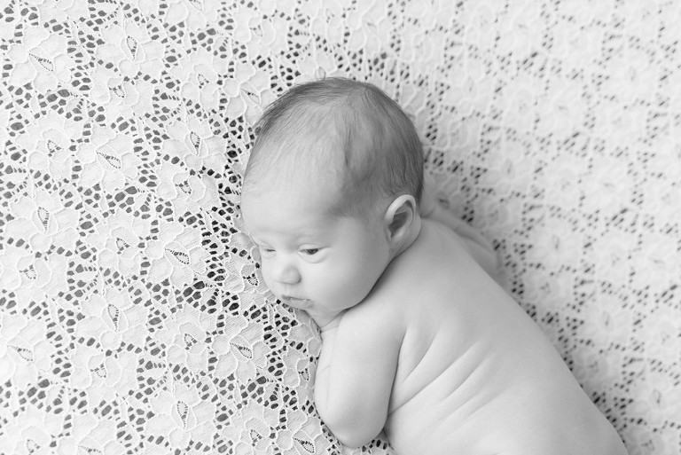 newborn photographer pittsburgh