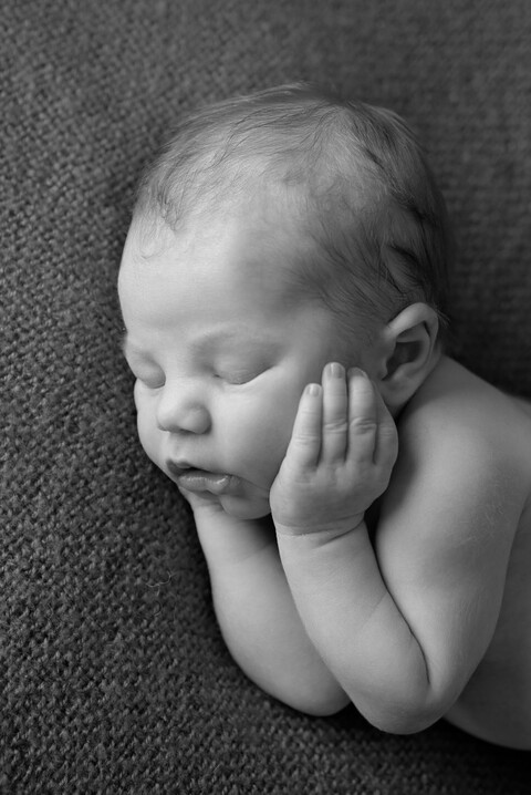 pittsburgh newborn photographer