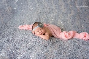 pittsburgh newborn photographer