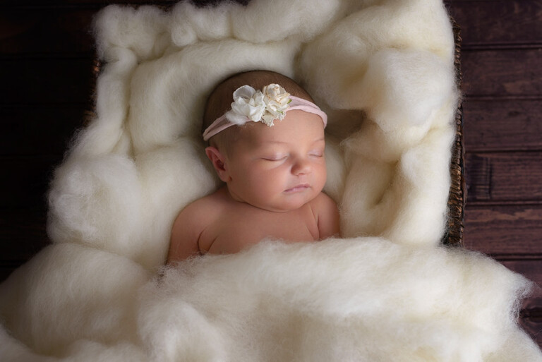newborn photographer pittsburgh