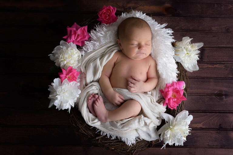newborn photographer pittsburgh
