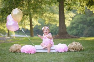 cranberry township first birthday photographer