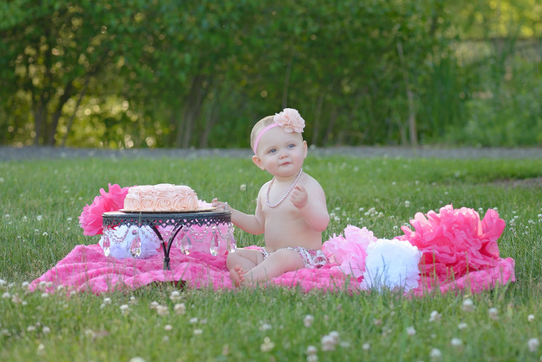 seven fields first birthday photographer