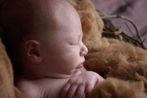 pittsburgh newborn boy photography