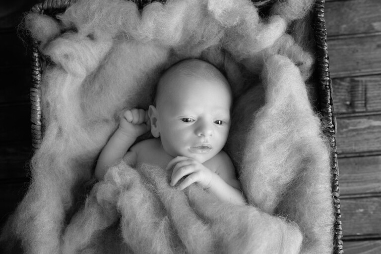 cranberry township newborn photographer