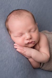 cranberry township newborn photographer