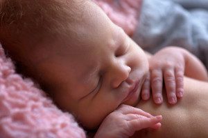 wexford pa newborn photography