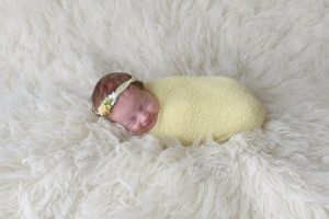 pittsburgh newborn photographer