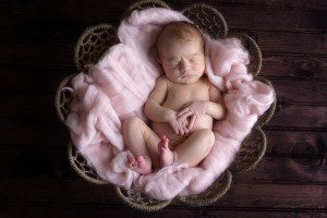 wexford newborn photographer