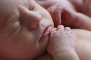 wexford newborn photographer