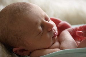 cranberry township baby photographer