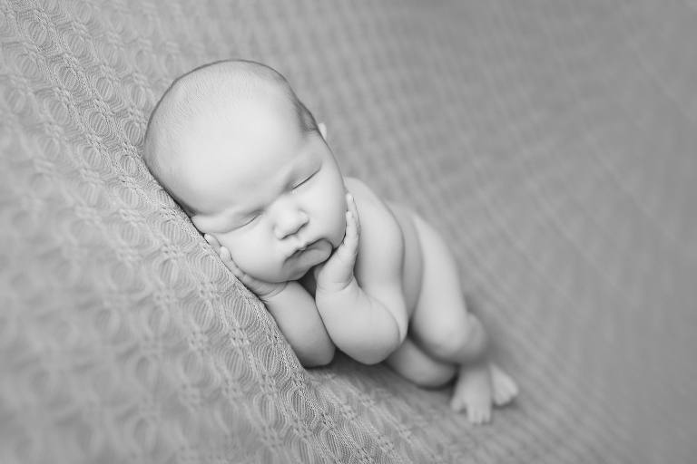 cranberry township newborn photorapher