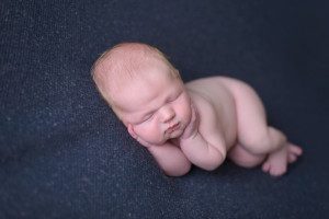 valencia gibsonia newborn photographer