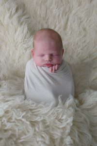 valencia gibsonia newborn photographer